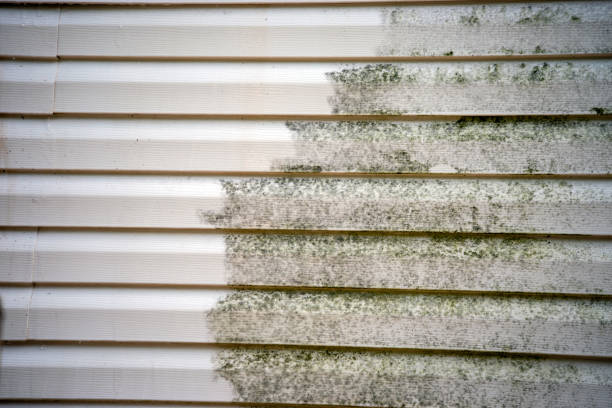 Custom Trim and Detailing for Siding in South Ogden, UT